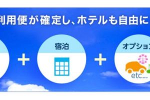 ANA旅作1