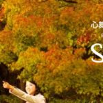 ヒルトン25％オフセール
