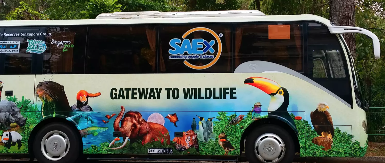 シンガポール動物園送迎バス