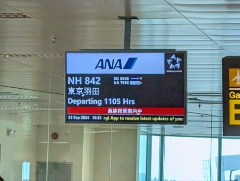 ANA（NH）842便搭乗