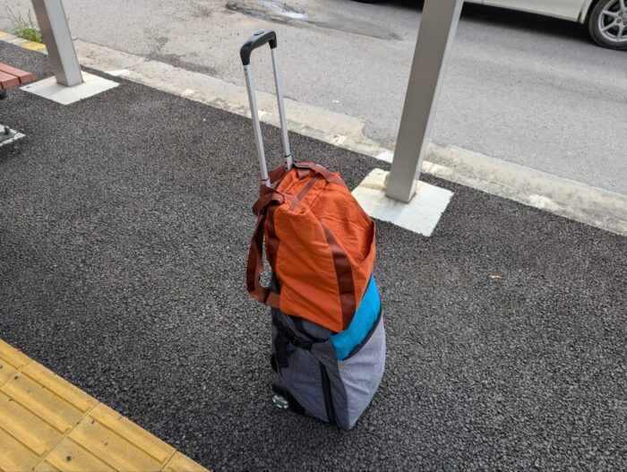 マックスバリュやいま店お土産購入