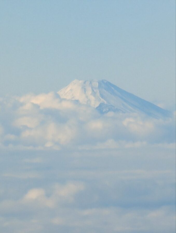 ANA(NH)90便