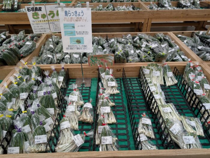 ゆらてぃく市場