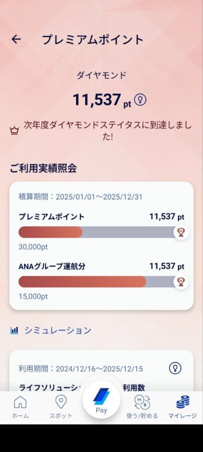プレミアムポイント
