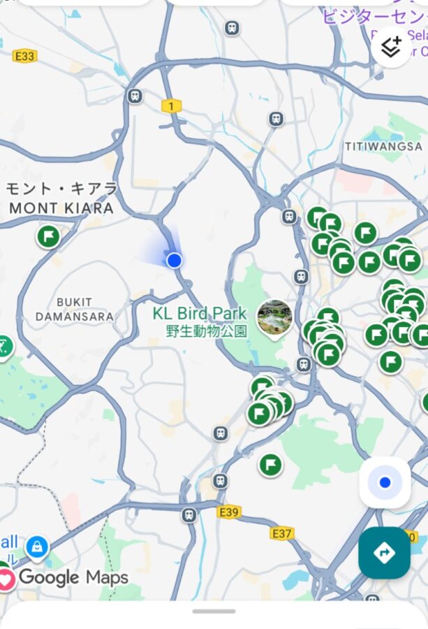 クアラルンプール市内観光 2階建てホップオン ホップオフバス乗車券（マレーシア）