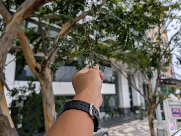 クアラルンプール市内観光 2階建てホップオン ホップオフバス乗車券（マレーシア）